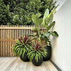 💥Summer Special🔥UV-Resistant Artificial Fern & Red Dracaena Decorative Plants – Full, Lush & Fade-Resistant!