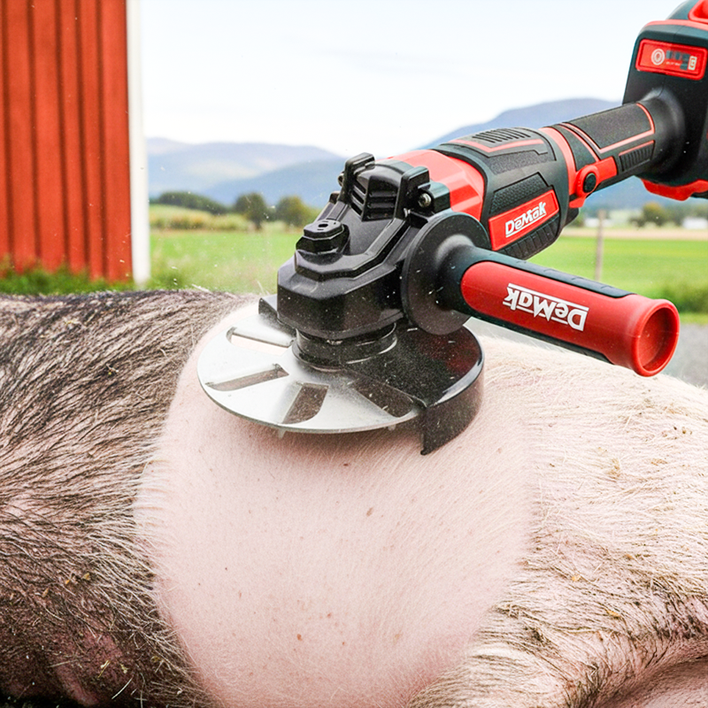 🧰Labor-Saving Pig Hair Remover Scraper Disc