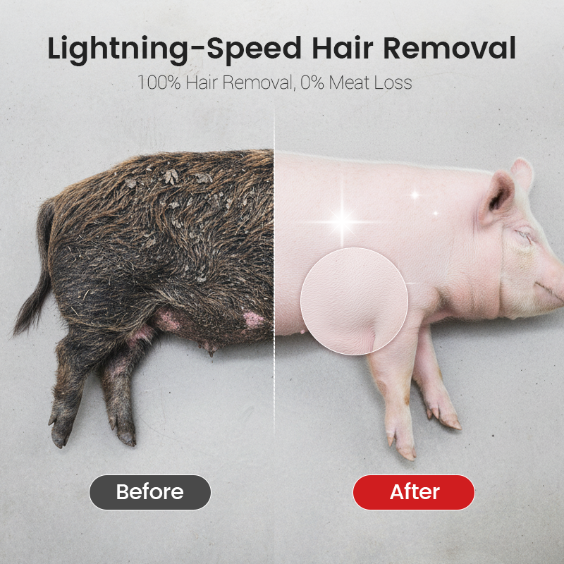 🧰Labor-Saving Pig Hair Remover Scraper Disc