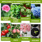 🔥Plant Nutrient Solution