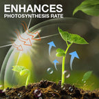 🔥Plant Nutrient Solution