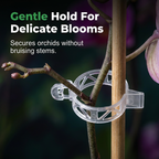 100 PCS Quick-Lock Plant Support Clips