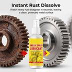 Multi-Purpose Rust Remover Spray
