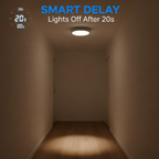 Motion Sensor Light Switch