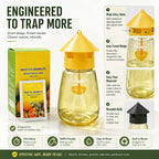 Reusable fly trap structure and design