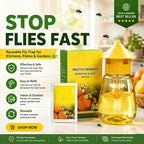 Reusable indoor and outdoor fly trap - main image