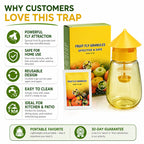 Reusable fly trap benefits