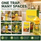 Fly trap for multiple indoor and outdoor spaces