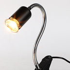 Reptile Heat Lamp for Turtles
