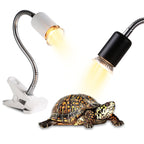 Reptile Heat Lamp for Turtles