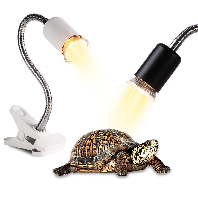 Reptile Heat Lamp for Turtles