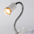 Reptile Heat Lamp for Turtles