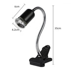 Reptile Heat Lamp for Turtles