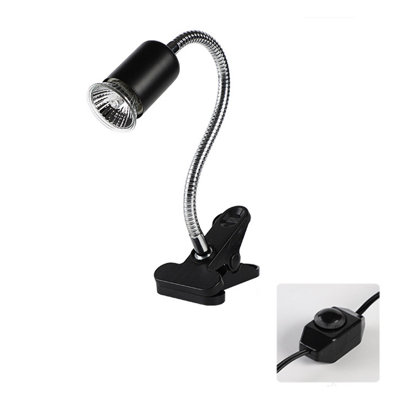 Reptile Heat Lamp for Turtles