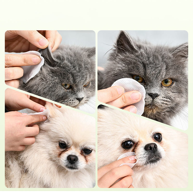 Natural Plant-Based Cleaning Wipes for Pet Eyes and Ears