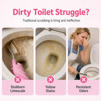 Toilet Cleaning Powder