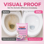 Toilet Cleaning Powder