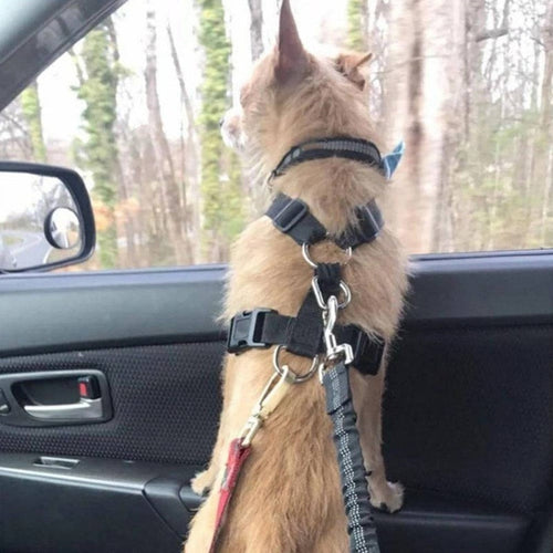 Adjustable Dog Seat Belt for Car