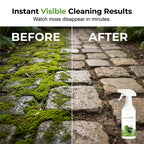 Outdoor Moss & Algae Remover Spray